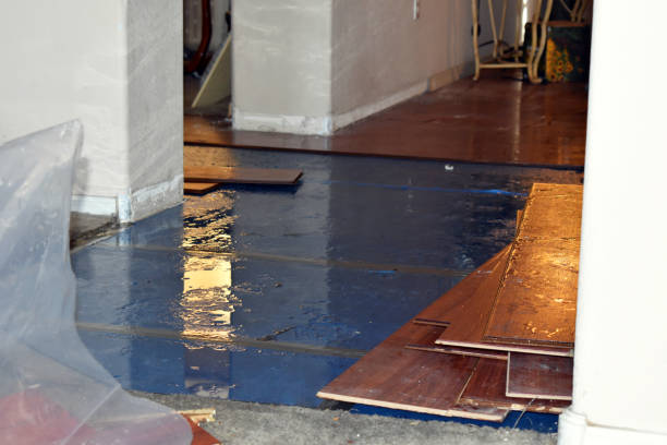 Professional Burst Pipe Cleanup technician working in Central City, IL