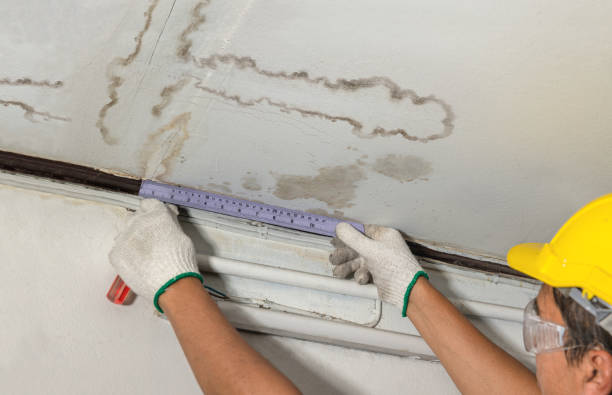 Reliable Burst Pipe Cleanup contractor in Central City, IL by Water Damage Irwin